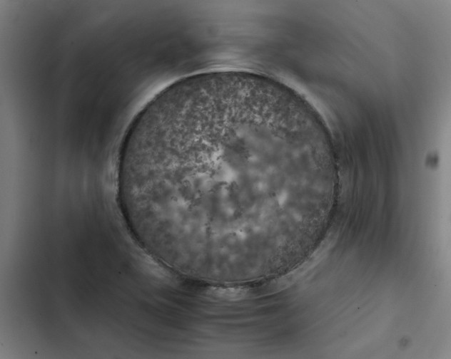 X0000102471415200808221632