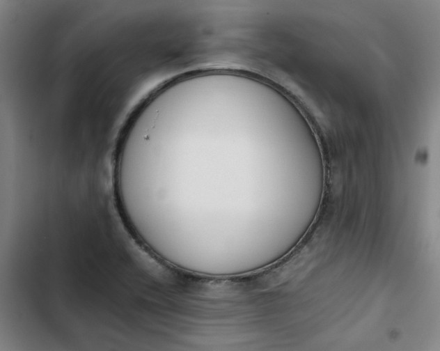 X0000102471416200808221632