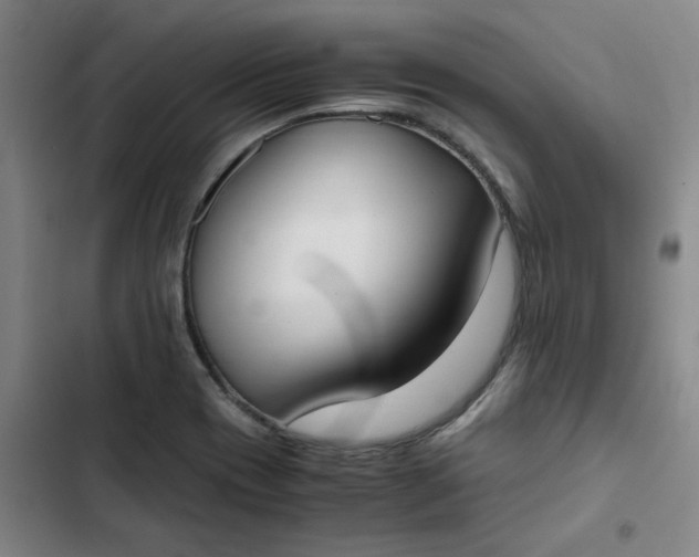 X0000102471417200808221632