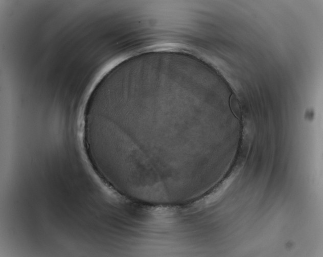 X0000102471418200808221632