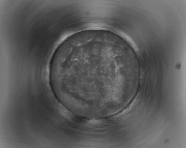 X0000102471419200808221632
