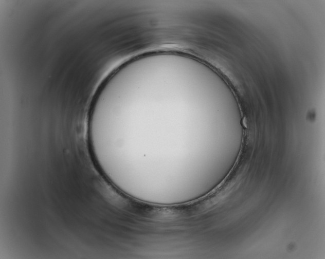 X0000102471420200808221632