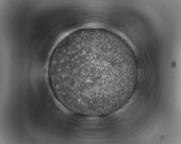 X0000102471421200808221632