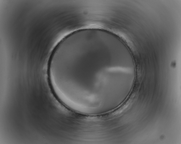 X0000102471422200808221632