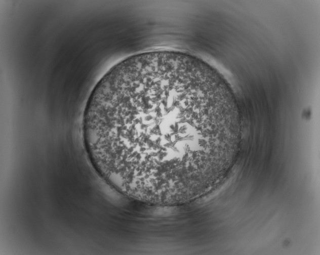 X0000102471423200808221632