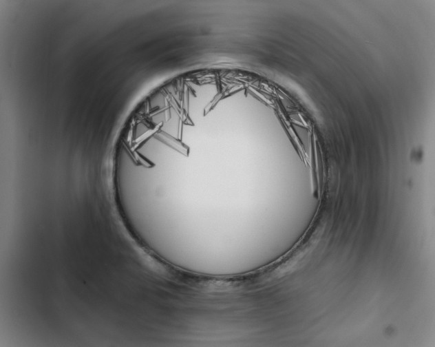 X0000102471424200808221632