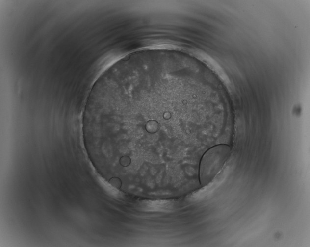 X0000102471425200808221632