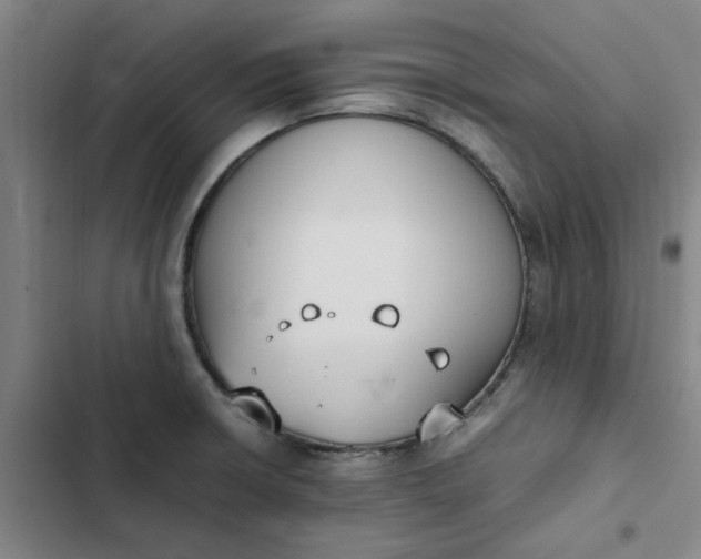 X0000102471426200808221632