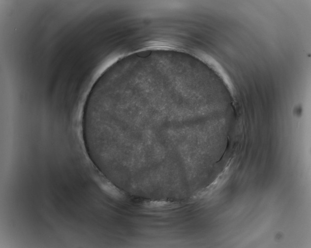 X0000102471427200808221632