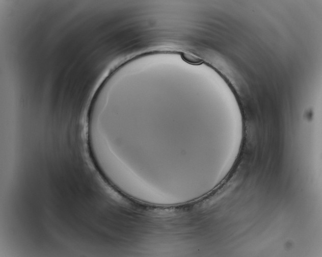 X0000102471428200808221632