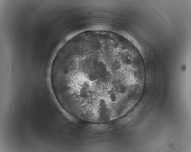 X0000102471429200808221632