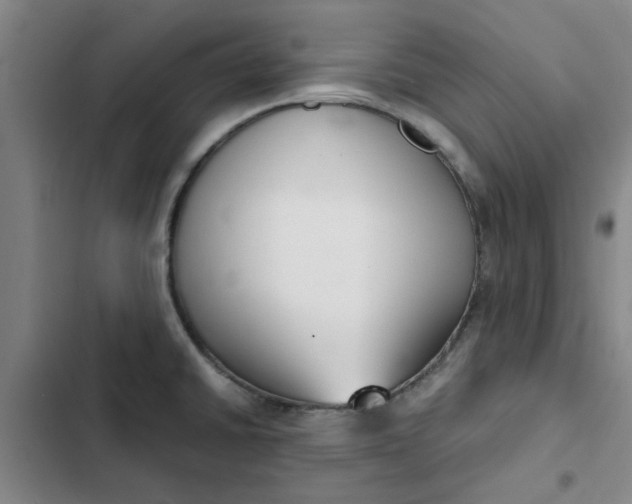 X0000102471430200808221632