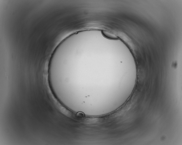 X0000102471431200808221632