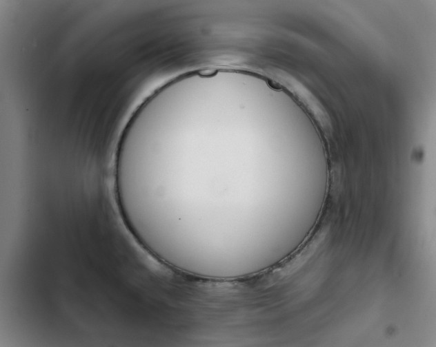 X0000102471432200808221632
