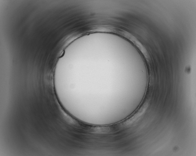 X0000102471433200808221632