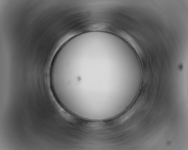 X0000102471434200808221632