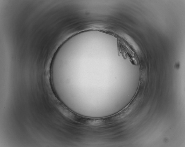 X0000102471435200808221632