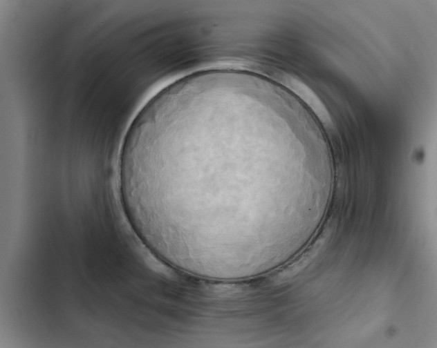X0000102471436200808221632