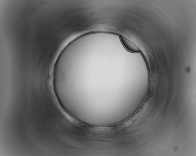 X0000102471437200808221632