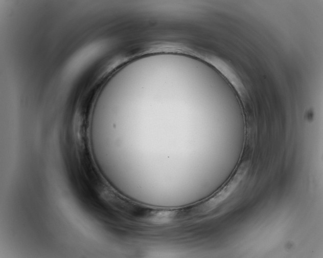 X0000102471438200808221633