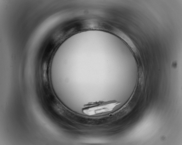 X0000102471439200808221633