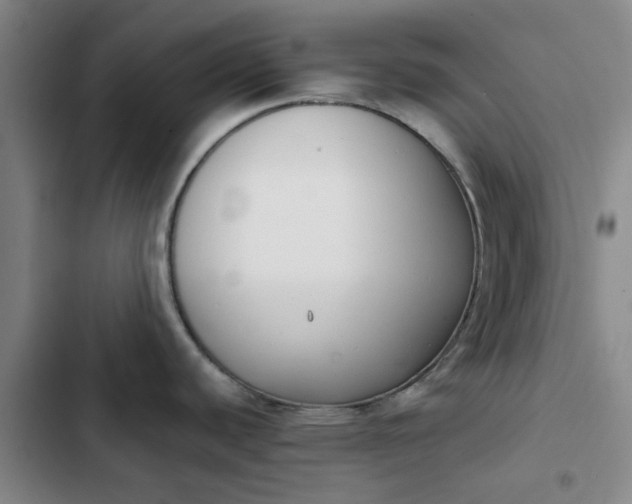 X0000102471440200808221633
