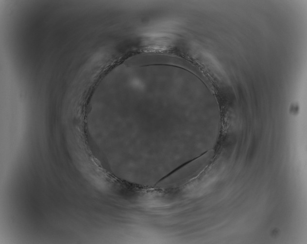 X0000102471441200808221632