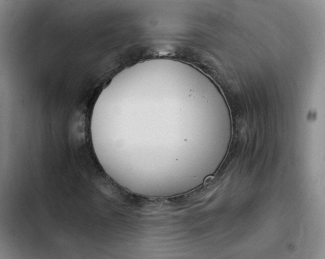 X0000102471442200808221632