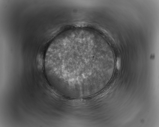 X0000102471444200808221632