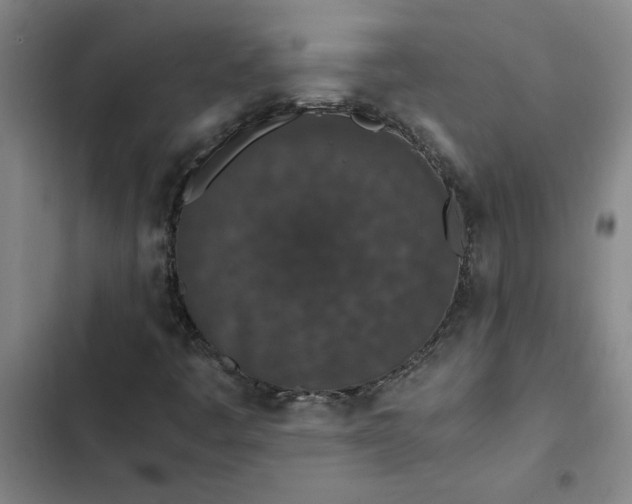 X0000102471445200808221632