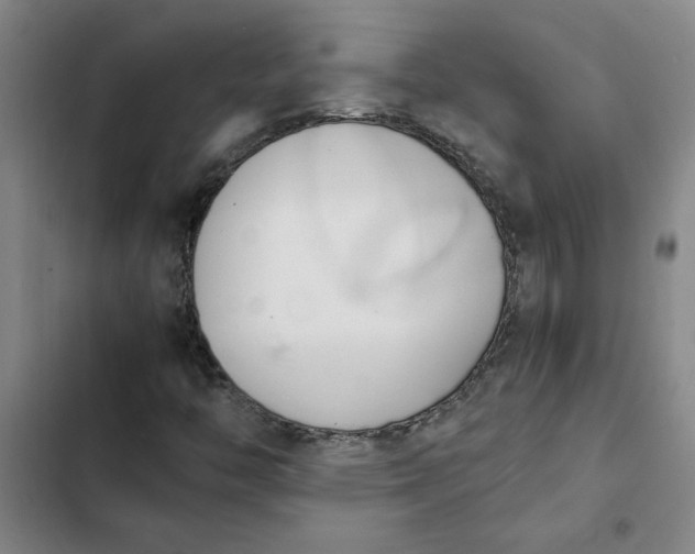 X0000102471446200808221632