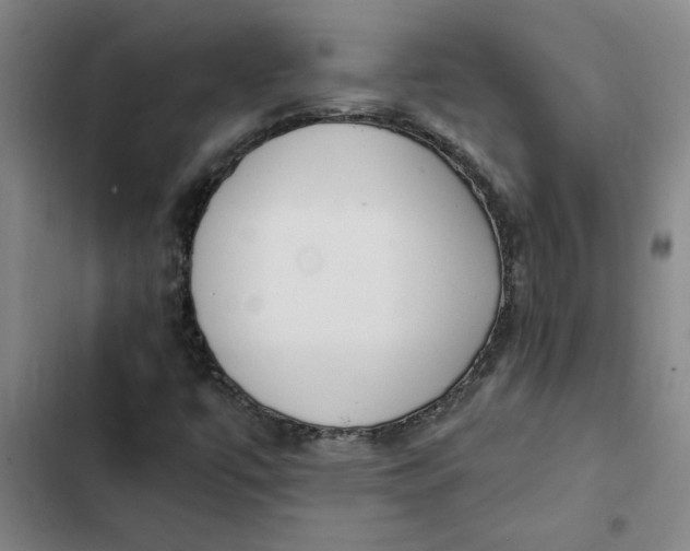X0000102471447200808221632