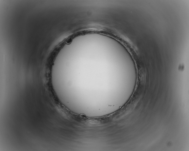 X0000102471448200808221632