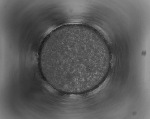 X0000102471449200808221632