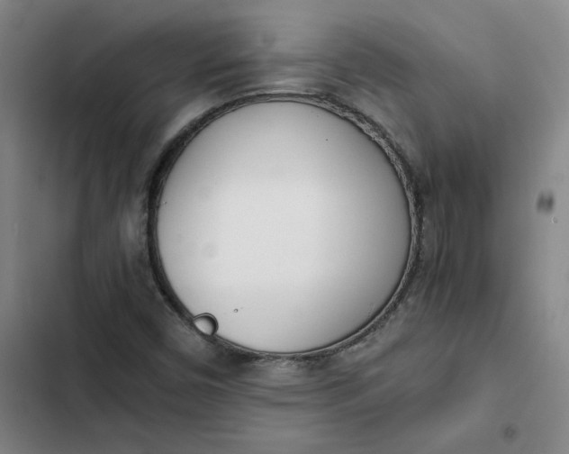 X0000102471450200808221632