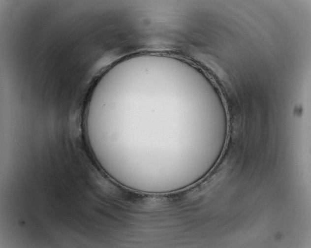 X0000102471451200808221632