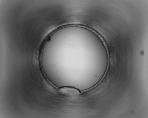 X0000102471452200808221632