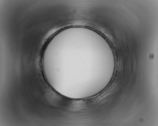 X0000102471454200808221632