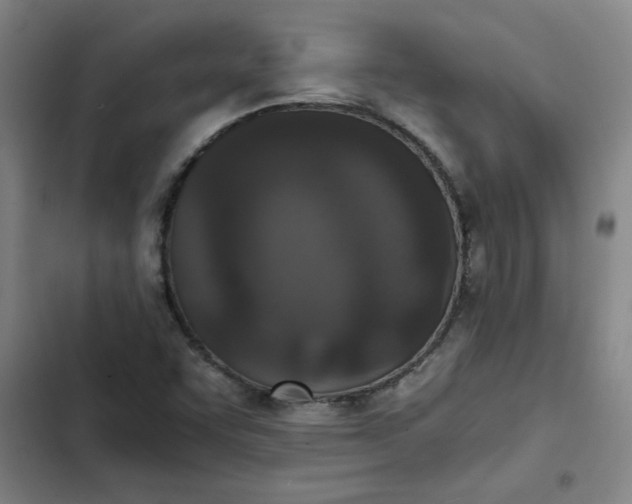 X0000102471455200808221632