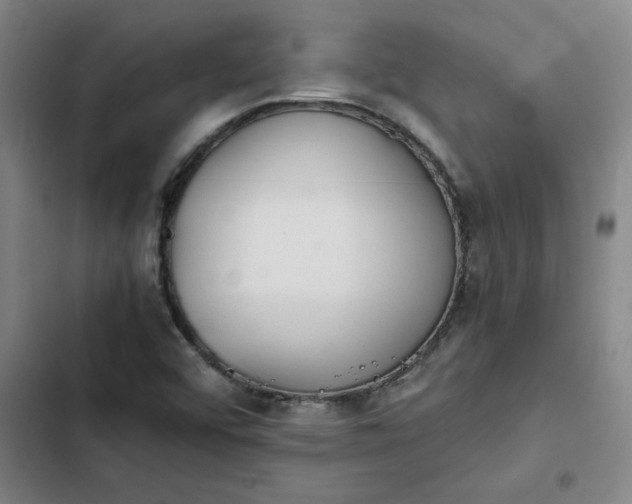 X0000102471456200808221632