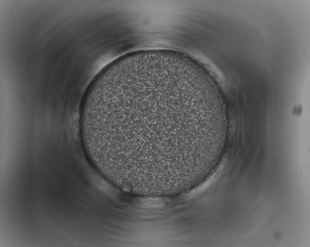 X0000102471457200808221632