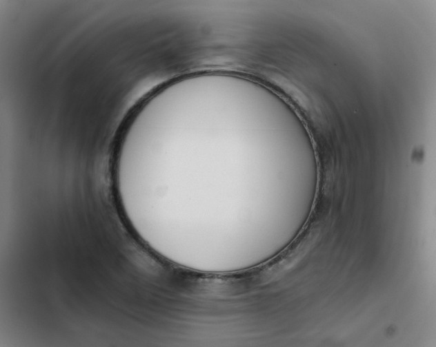 X0000102471458200808221632