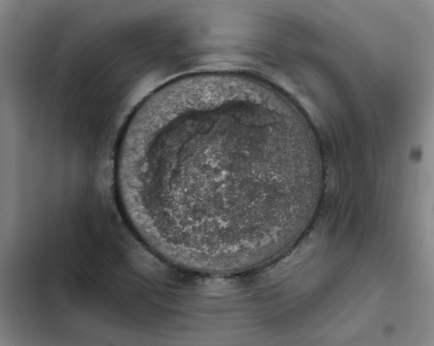 X0000102471459200808221632