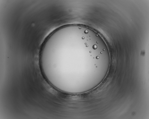 X0000102471460200808221632
