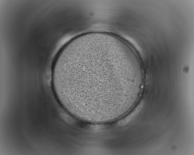 X0000102471461200808221632