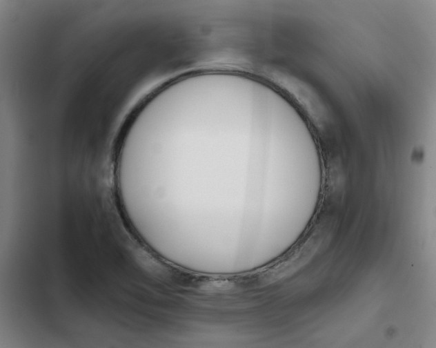 X0000102471462200808221632