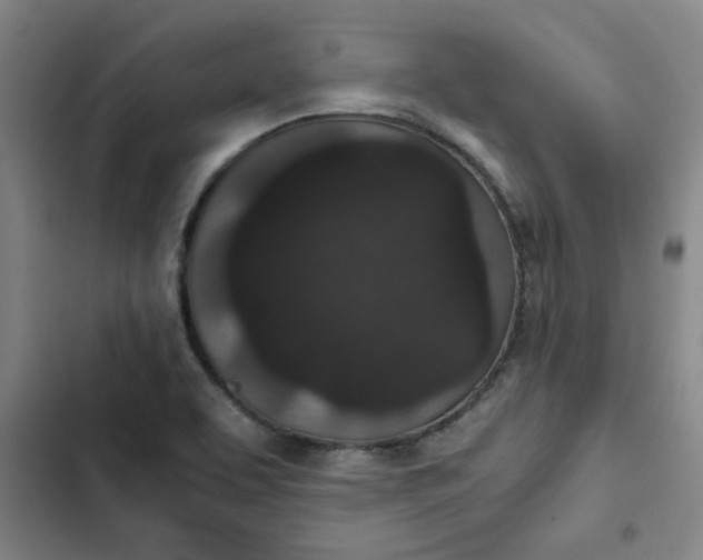 X0000102471463200808221632