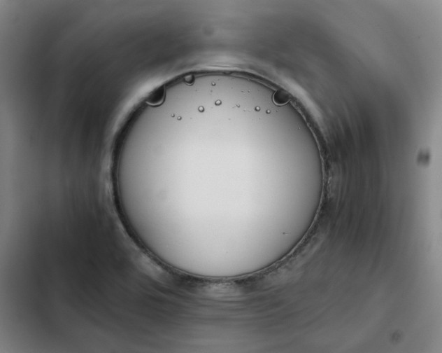 X0000102471464200808221632