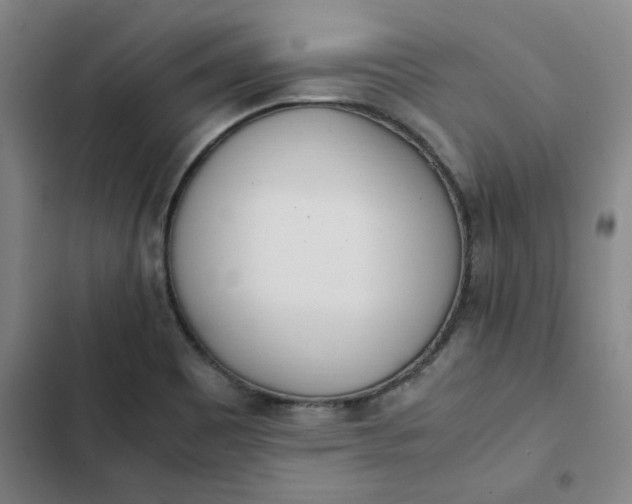 X0000102471465200808221632