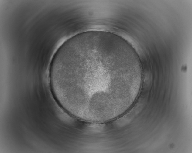 X0000102471466200808221632